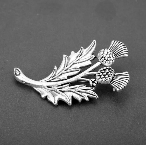 Scottish celtic thistle - scottish,