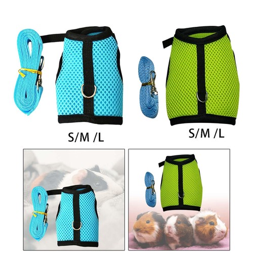 Cute rabbit harness and leash - cute,