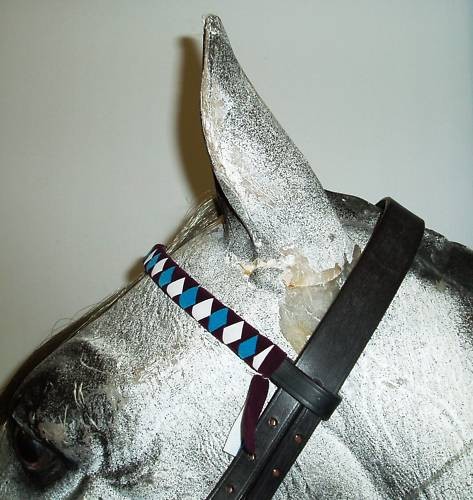 Velvet show browband - velvet,