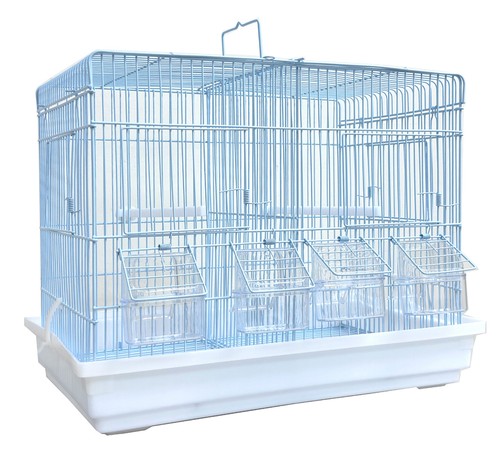 Divided breeding bird flight - divided,