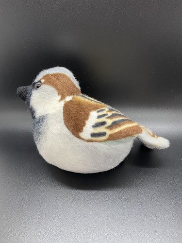 House sparrow singing bird - singing, 6"