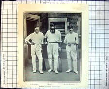 Old Three County Cricket