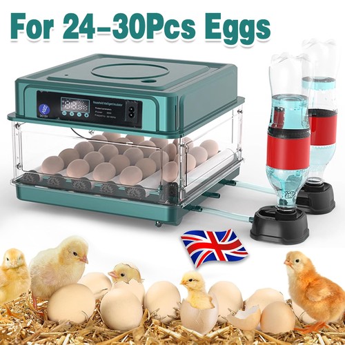 36x eggs fully - fully, automatic