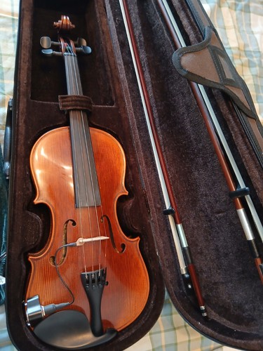Stentor messina violin - messina,