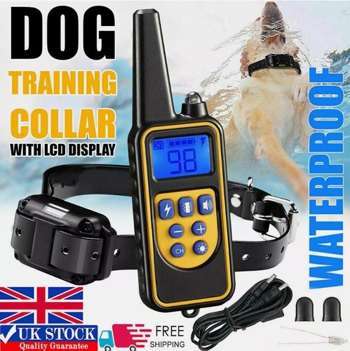 800m electric pet dog training - dog,