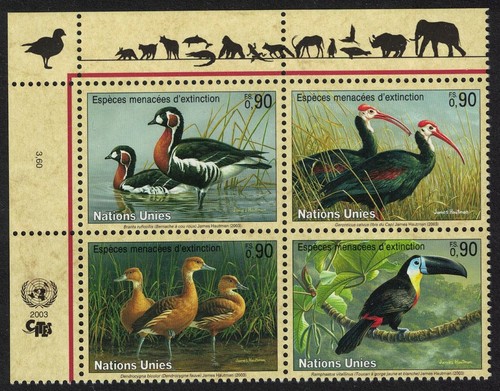 Goose ibis duck toucan - goose,
