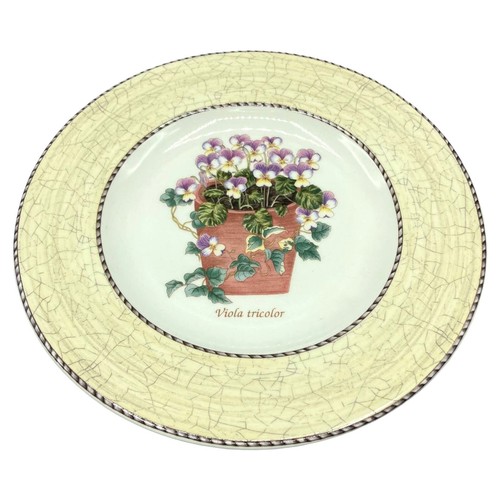 Wedgwood sarah garden viola - wedgwood,