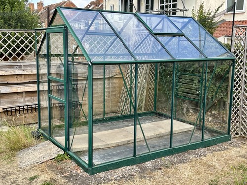 Greenhouse 6ft 8ft - greenhouse, x