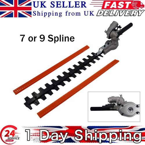 Spline mm hedge - spline,