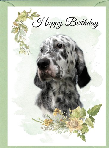 English setter dog - english,