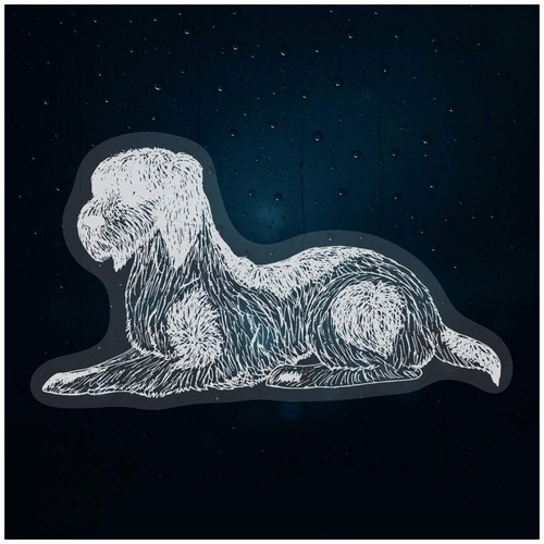 Italian spinone static - 'italian,