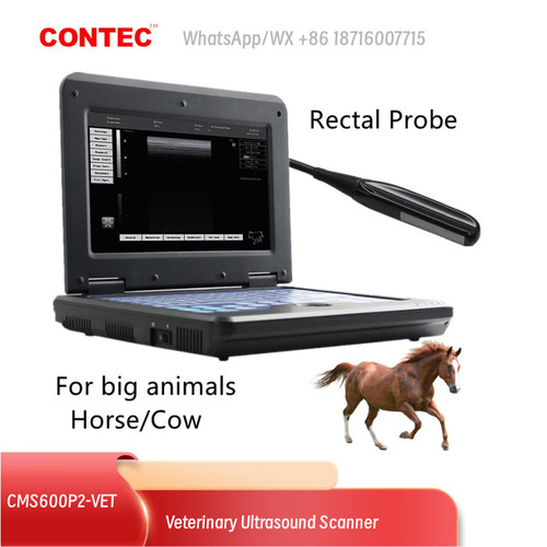 Contec veterinary ultrasound - contec,