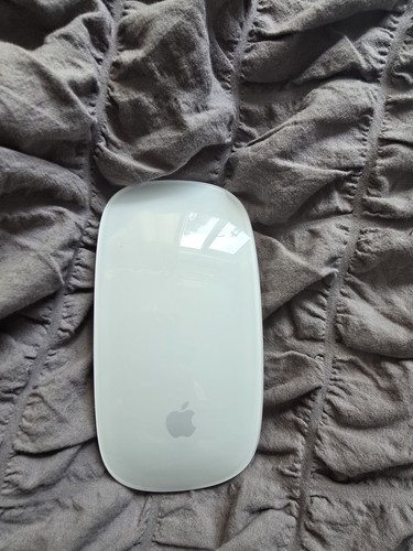 Apple magic mouse - magic,