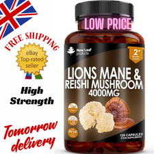 Lions Mane & Reishi Mushroom