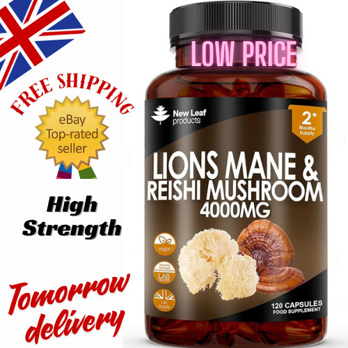 Lions mane reishi - mane,