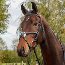 GS Equestrian Grackle Bridle