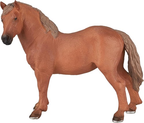 Mojo suffolk punch mare horse - punch,