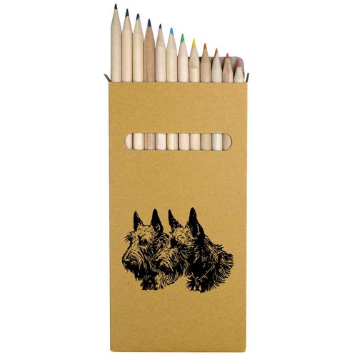 Scottish terrier couple - x,