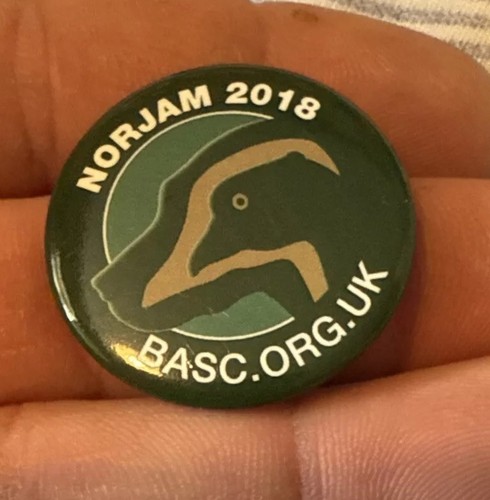 Basc norjam 2018 badge - basc,