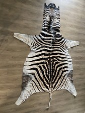 Zebra Real Skin Rug Hide Large