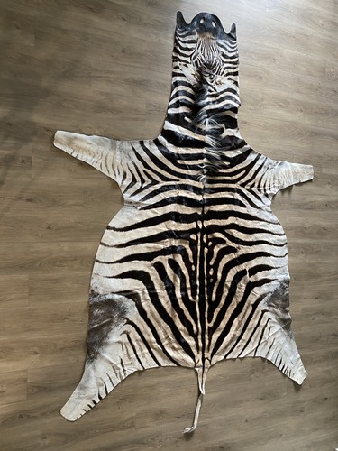 Zebra real skin rug hide - real,