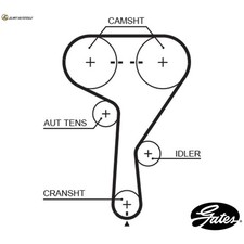 TIMING BELT 5603XS FOR ALFA