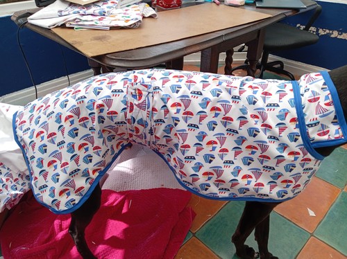 Handmade greyhound jacket - greyhound,