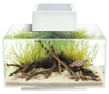 Fluval Edge 2.0 23L Aquarium Gloss White