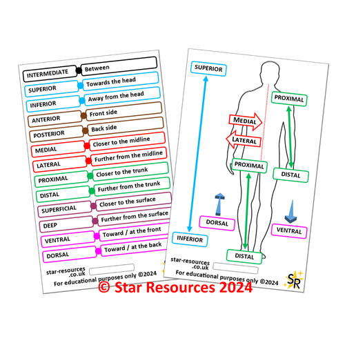 Orientation directional - orientation, &