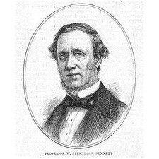 William Sterndale Bennett English Composer - Antique Print 1870