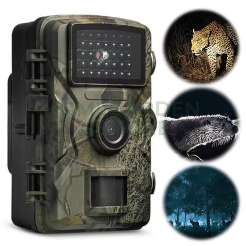 Wildlife hunting trail camera - hunting,
