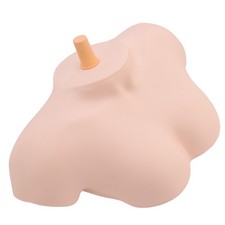 *Female Shoulder Model For