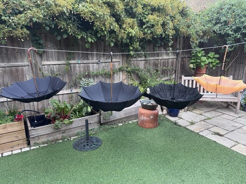 Antique umbrellas vintage - 4,