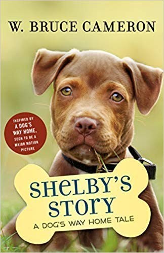 Shelby story dog s - shelby's, dog's