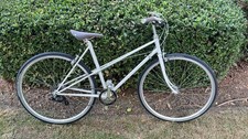 Custom one-of-a-kind Raleigh