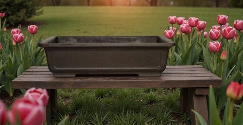 Brown mica bonsai - mica, pot