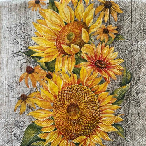 Cocktail paper napkins - 2,