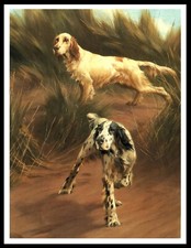 ENGLISH SETTER TWO DOGS LOVELY