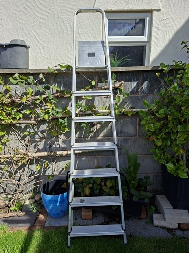 Aluminium foldable step ladder - aluminium,