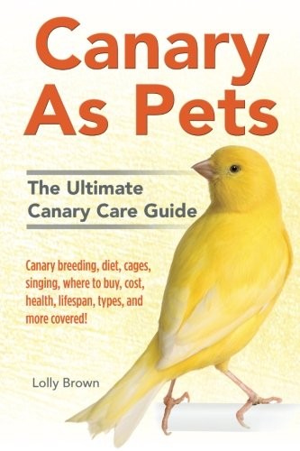 Canary pets - canary, pets: