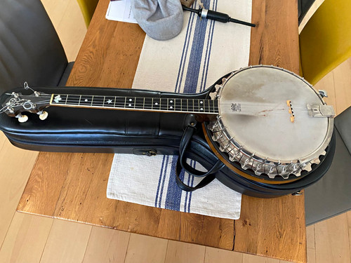 Deering vega tenor - vega,, banjo