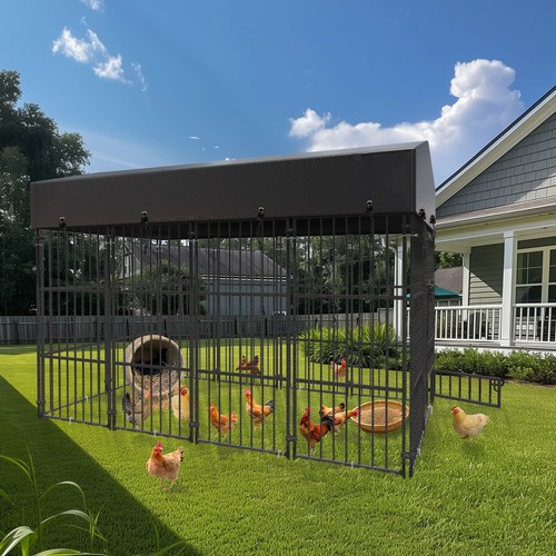 Jumbo dog enclosures - jumbo,