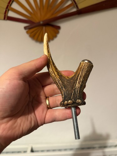 Deer antler walking - antler, thumbstick