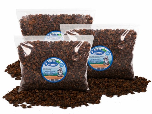 3kg dried silkworm pupae - pupae, for