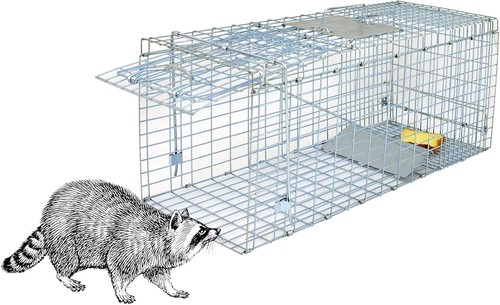 Live animal trap - trap, 31"