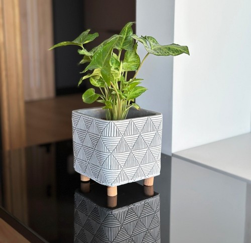Flower pot legs home - pot,