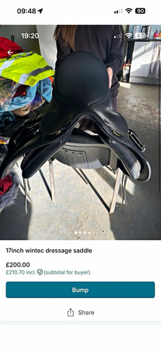 Wintec dressage saddle - dressage,