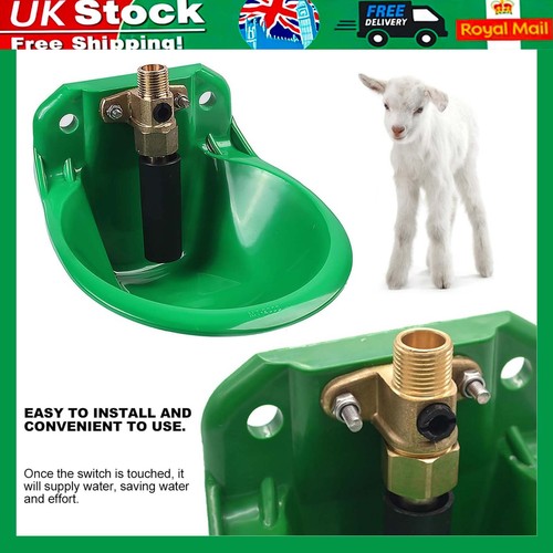 Automatic water bowl - automatic,