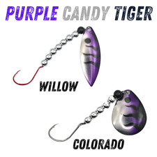 Purple Candy Tiger Worm