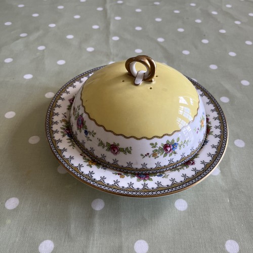 Aynsley cottage garden yellow - garden,